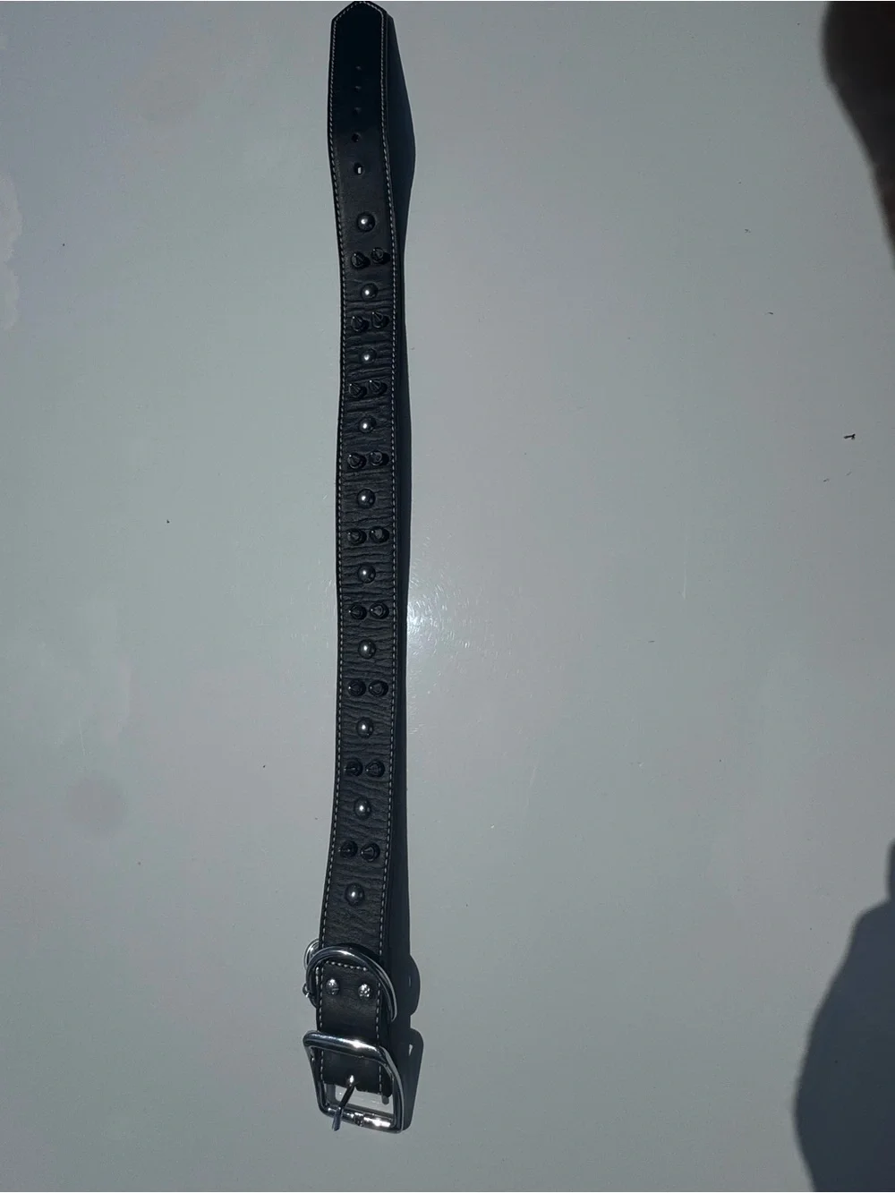 Genuine Leather Spiked Dog Collar XLarge Breeds 23
